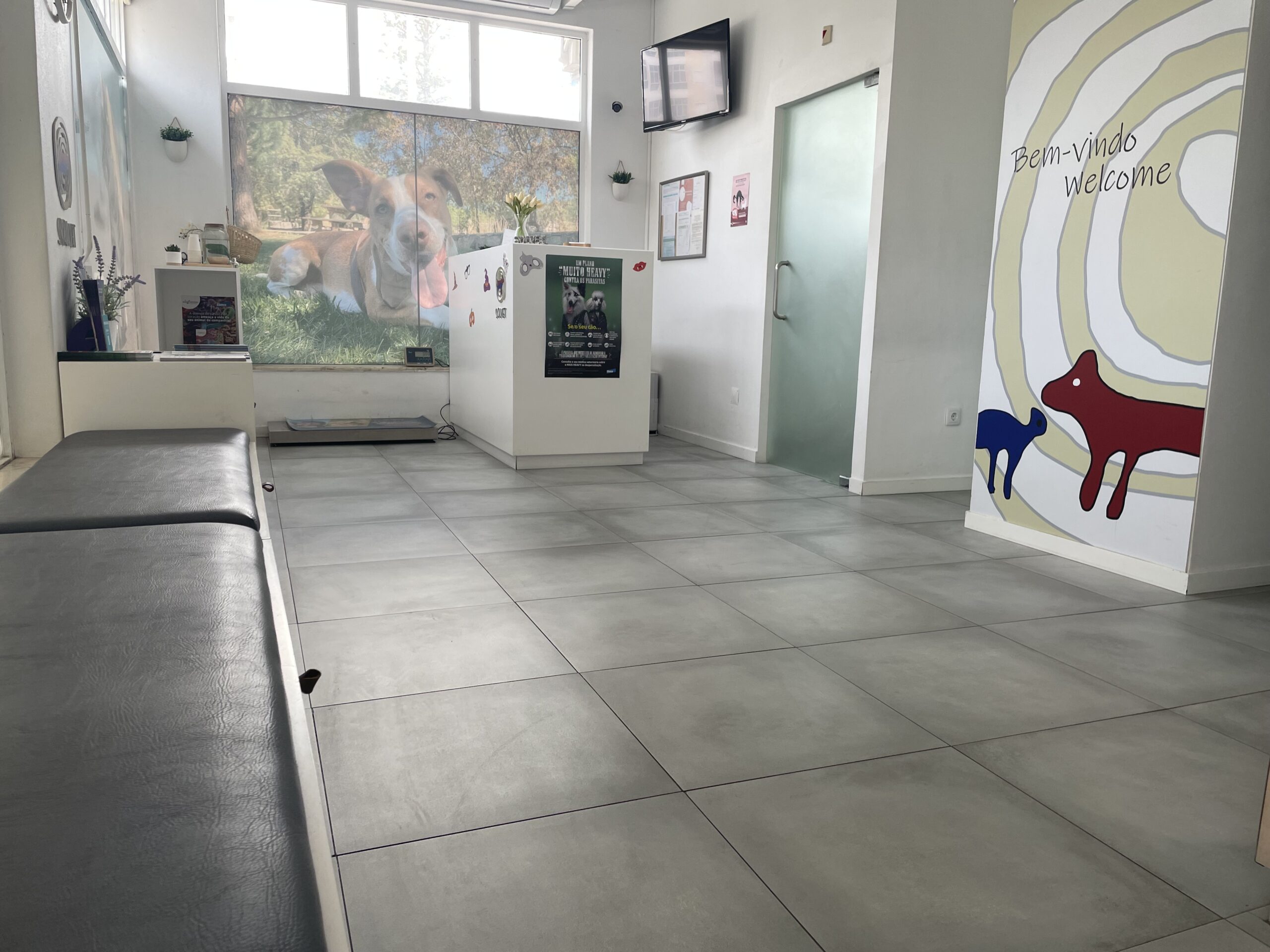 Sala de espera e receção da clínica SOLVET